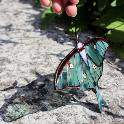 Luna Moth Butterfly suncatcher hanging in a sunny window